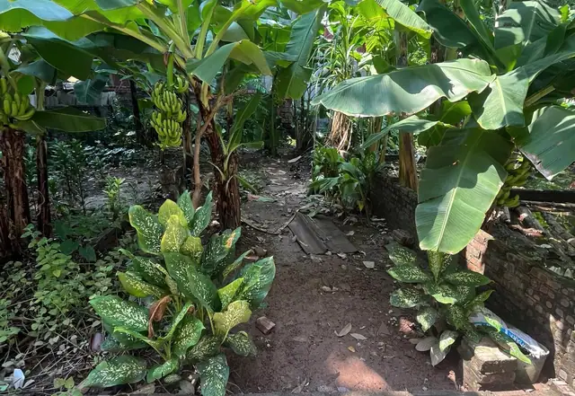 Bán đất 40,7 m² tại Phú Sơn / Thuận An