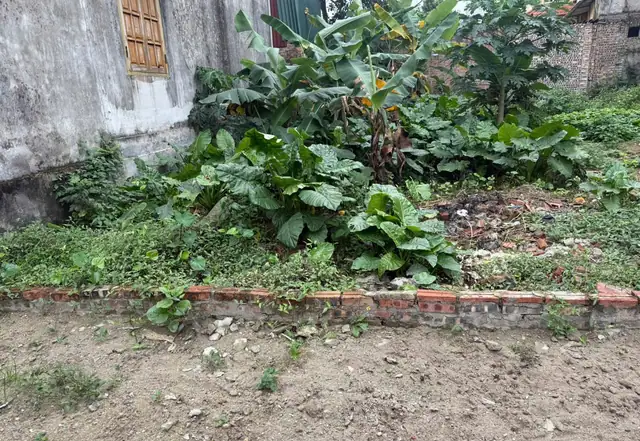 Bán đất 99,5 m² tại Lệ Chi
