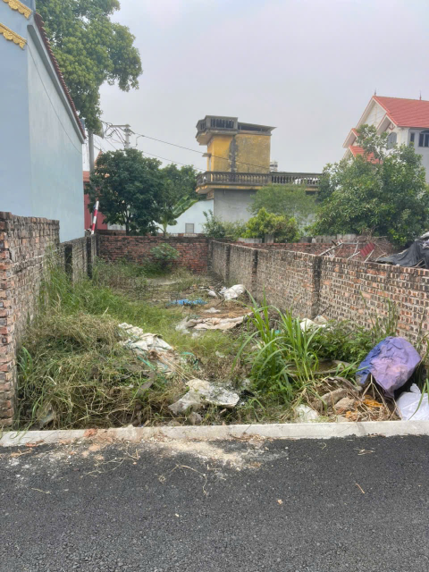 Bán đất 49,5 m² tại Lệ Chi - Ảnh 1