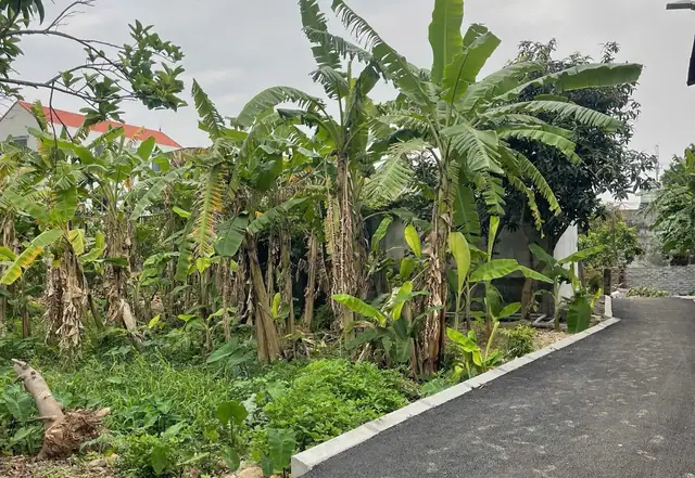 Bán đất 115 m² tại Phú Sơn / Thuận An