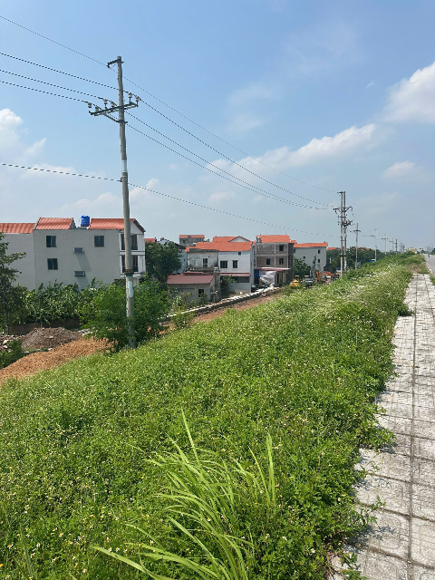 Bán đất 84 m² tại Phú Sơn / Thuận An - Ảnh 2