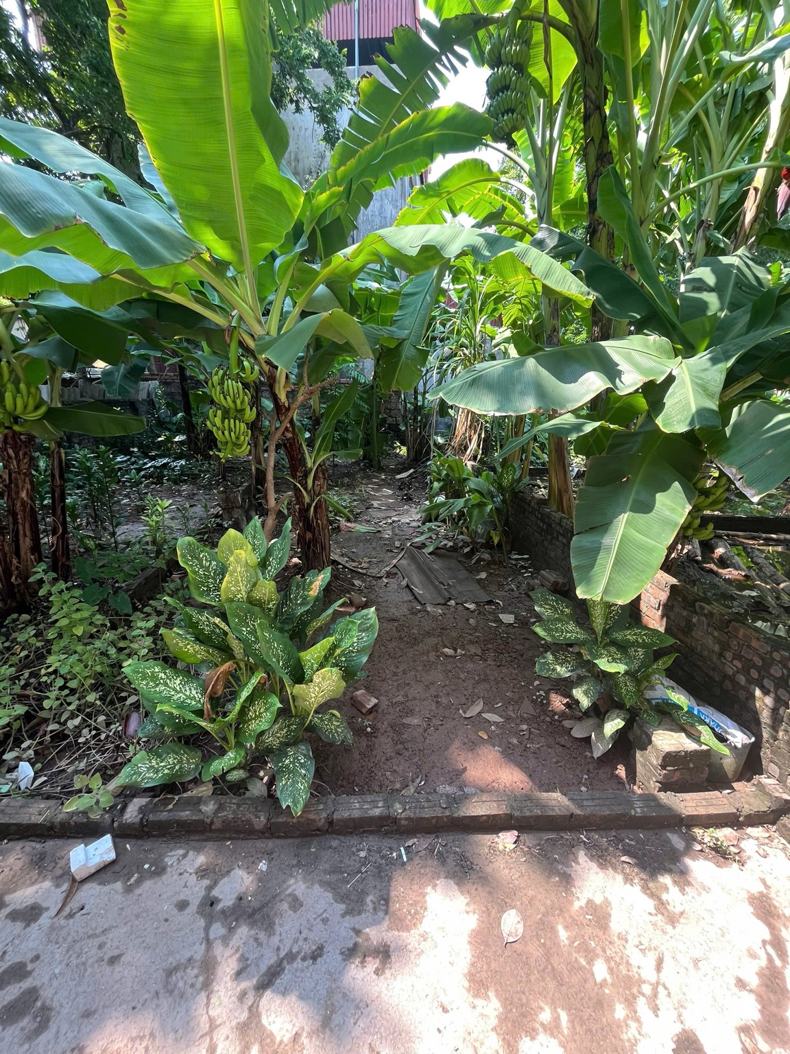 Bán đất Phú Sơn, Gia Lâm 40,7 m², mặt tiền 3,5 m, đường 2 m, giá 2,65 tỷ