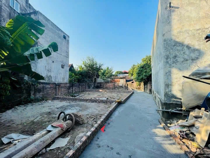 2,2 TỶ – BÁN ĐẤT 44m² THÔN GIA LÂM - LỆ CHI – NGÕ NÔNG ĐẸP , GẦN HỒ ĐIỀU HOÀ - Ảnh 2