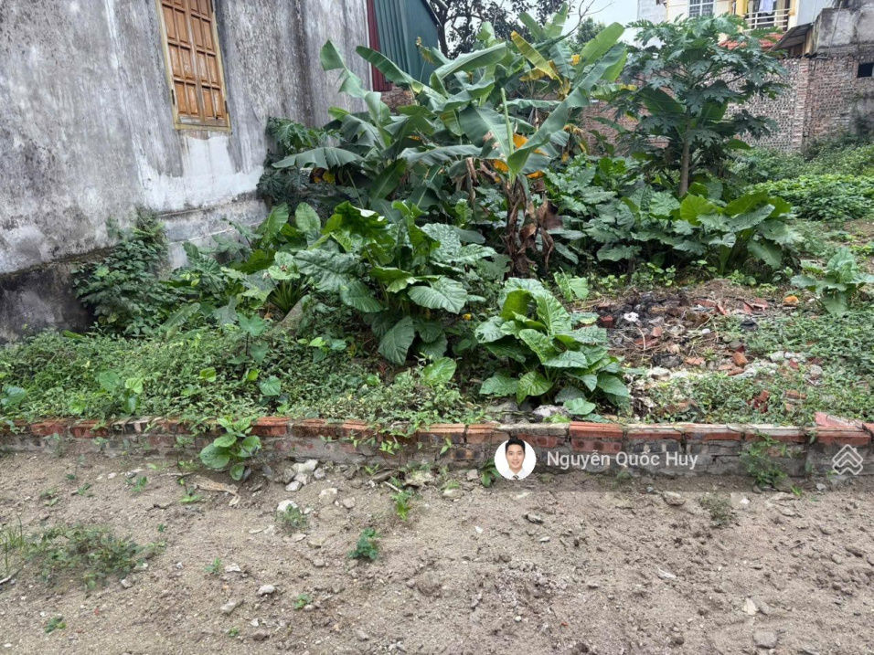 Bán đất Thuận An (Phú Sơn) 49 m², mặt tiền 4 m, giá 1,95 tỷ - Ảnh 2
