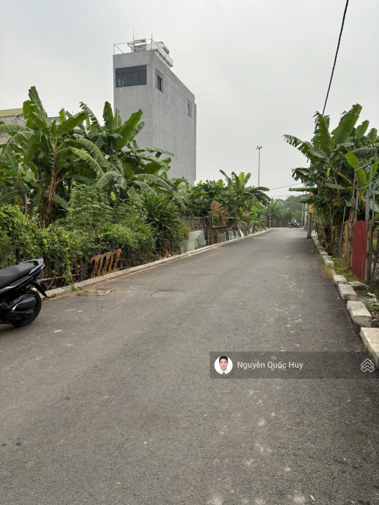Bán đất đấu giá thôn Vàng, Cổ Bi 66 m², mặt tiền 10 m, đường 6 m, giá 125 triệu/m² (8,25 tỷ) - Ảnh 2
