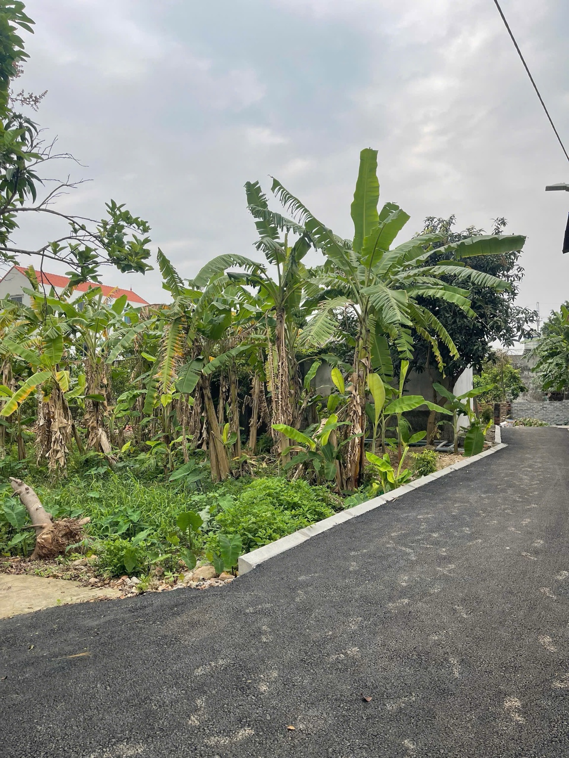 Bán đất Giao Tất A, Thuận An 115 m², mặt tiền 6 m, đường rộng 2,8 m, giá 52 triệu/m² (tổng 5,98 tỷ)