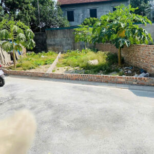 Bán mảnh đất 60,6m² Ngọc Động, Đa Tốn, Gia Lâm – ô tô vào tận nơi