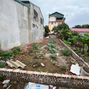 BÁN ĐẤT 53.2M² KIM HỒ LỆ CHI GIA LÂM – NGÕ NÔNG – GIÁ 56 TRIỆU/M²